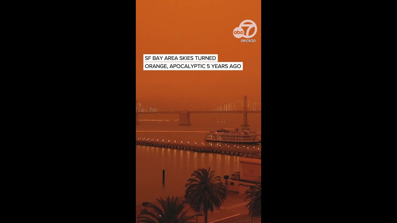 5 years since san francisco bay