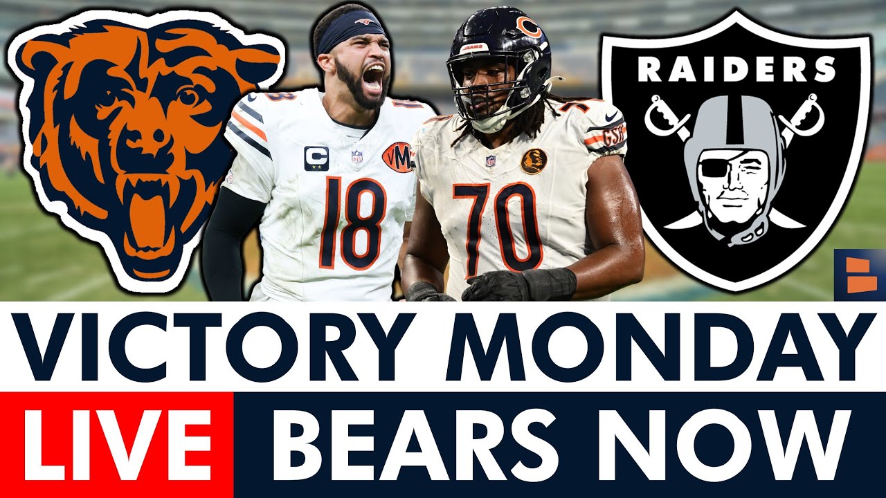 chicago bears now live more bear