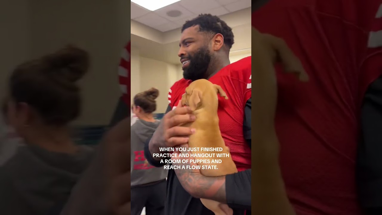 49ers Flow State ft. Puppies 🏈🐶 2 49ers flow state ft puppies
