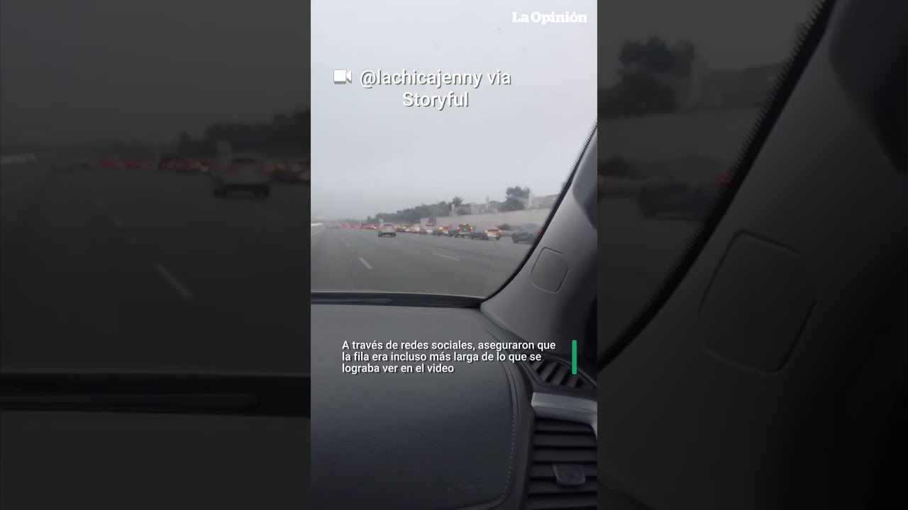 Autopista en California colapsa por largas filas del famoso Black Friday / La Opinión 2 autopista en california colapsa