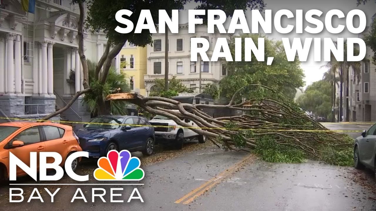 downed trees localized street fl