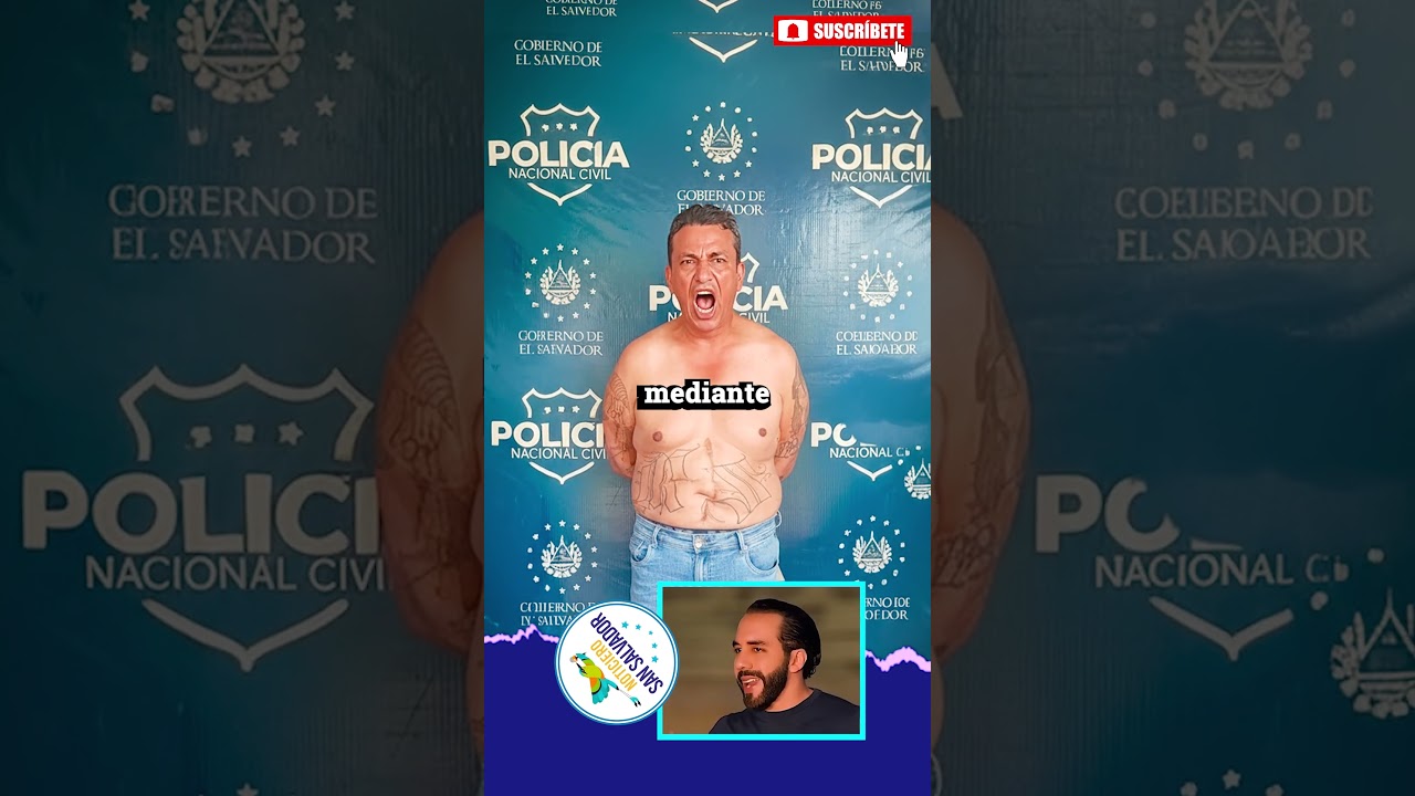 inocente angelito sera enviado a