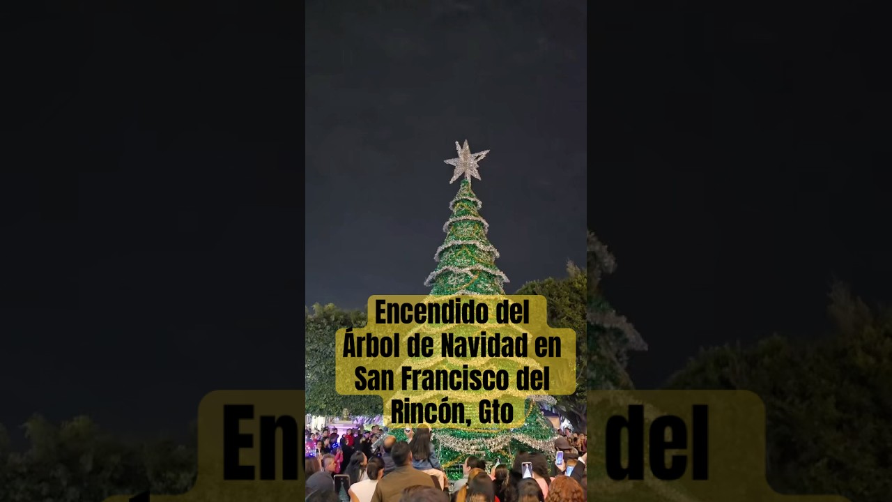 asi fue el encendido del arboli