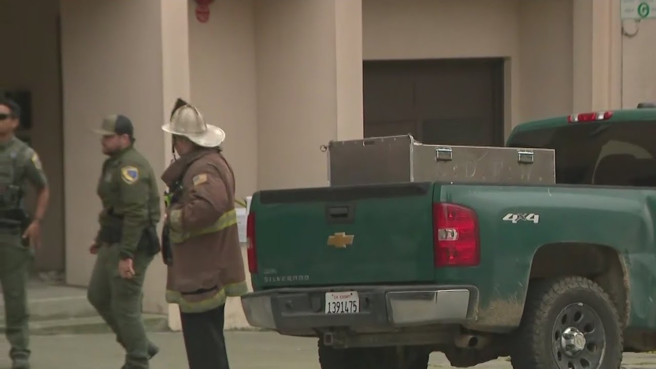 crews capture mountain lion spot
