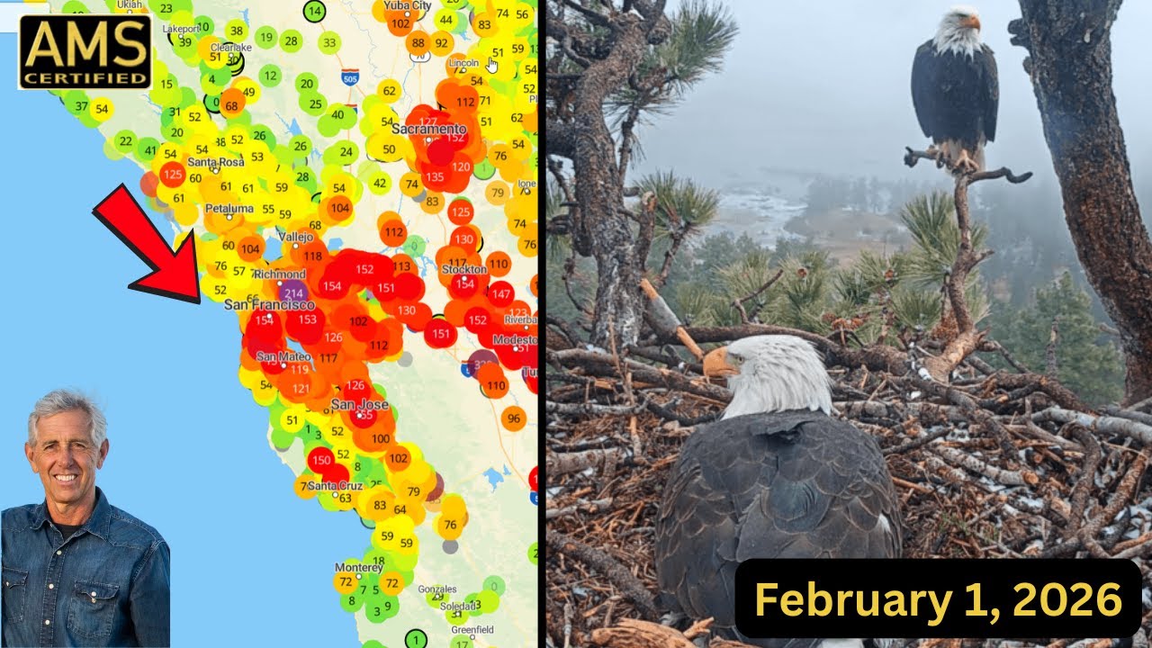 LA Air Quality vs San Francisco - King Tides Peak & Next Rain Chance - Big Bear Eagle Sadness 2 la air quality vs san francisco