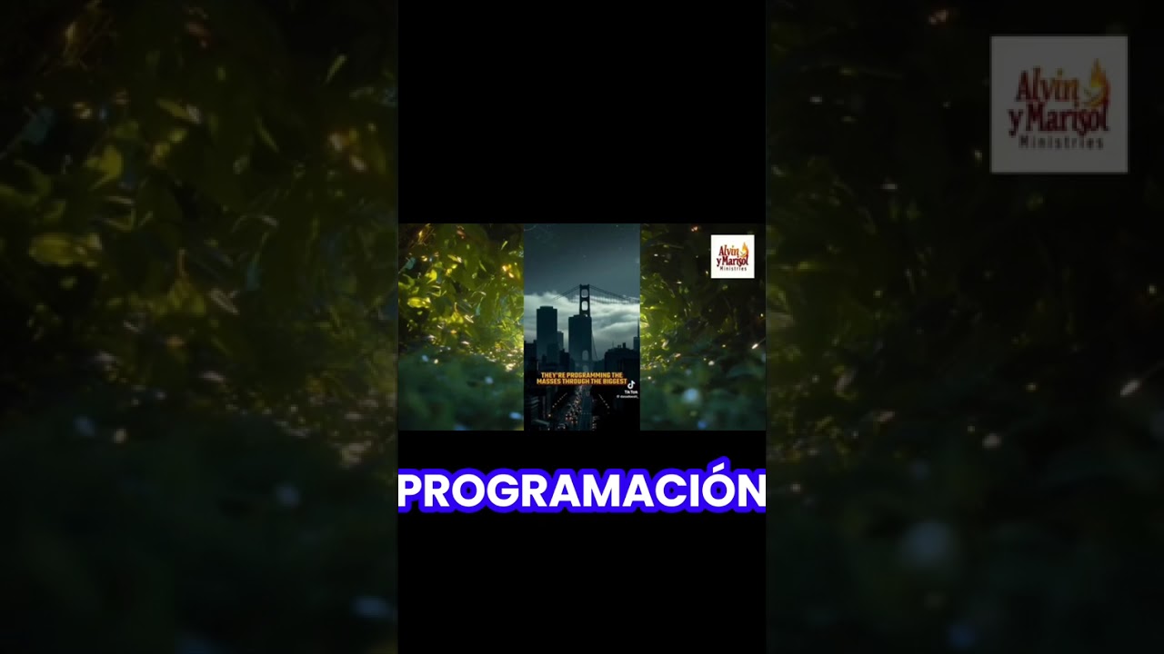 sobre san francisco news 1