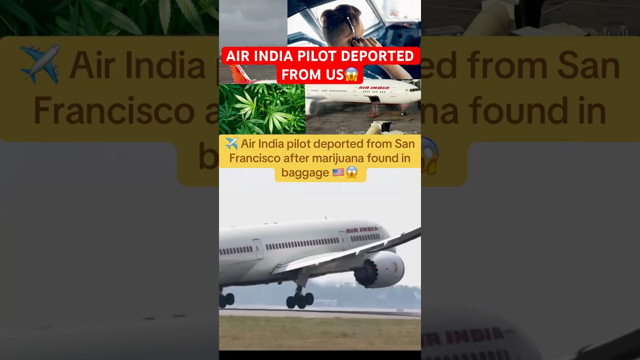 Air India Pilot Caught With Marijuana In US😱✈️#fyp #news #aviation #india #airindia #uk #usa #fypシ 2 air india pilot caught with mari 1