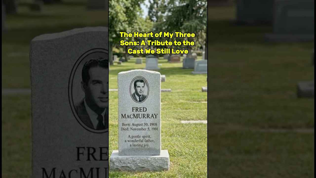 The Heart of My Three Sons: A Tribute to the Cast We Still Love 2 the heart of my three sons a tri