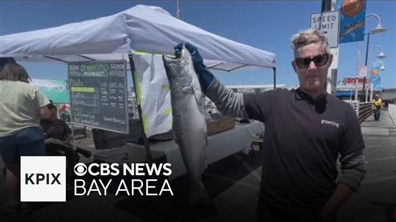 First salmon of the season being sold off boats at San Francisco's Fisherman's Wharf 2 first salmon of the season being