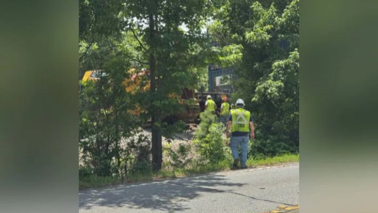 csx train derailment strands cow