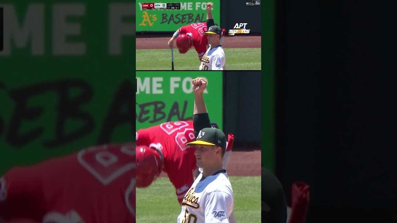 mlb catch of the year candidate