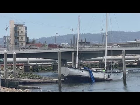 oakland youth rowing club raises