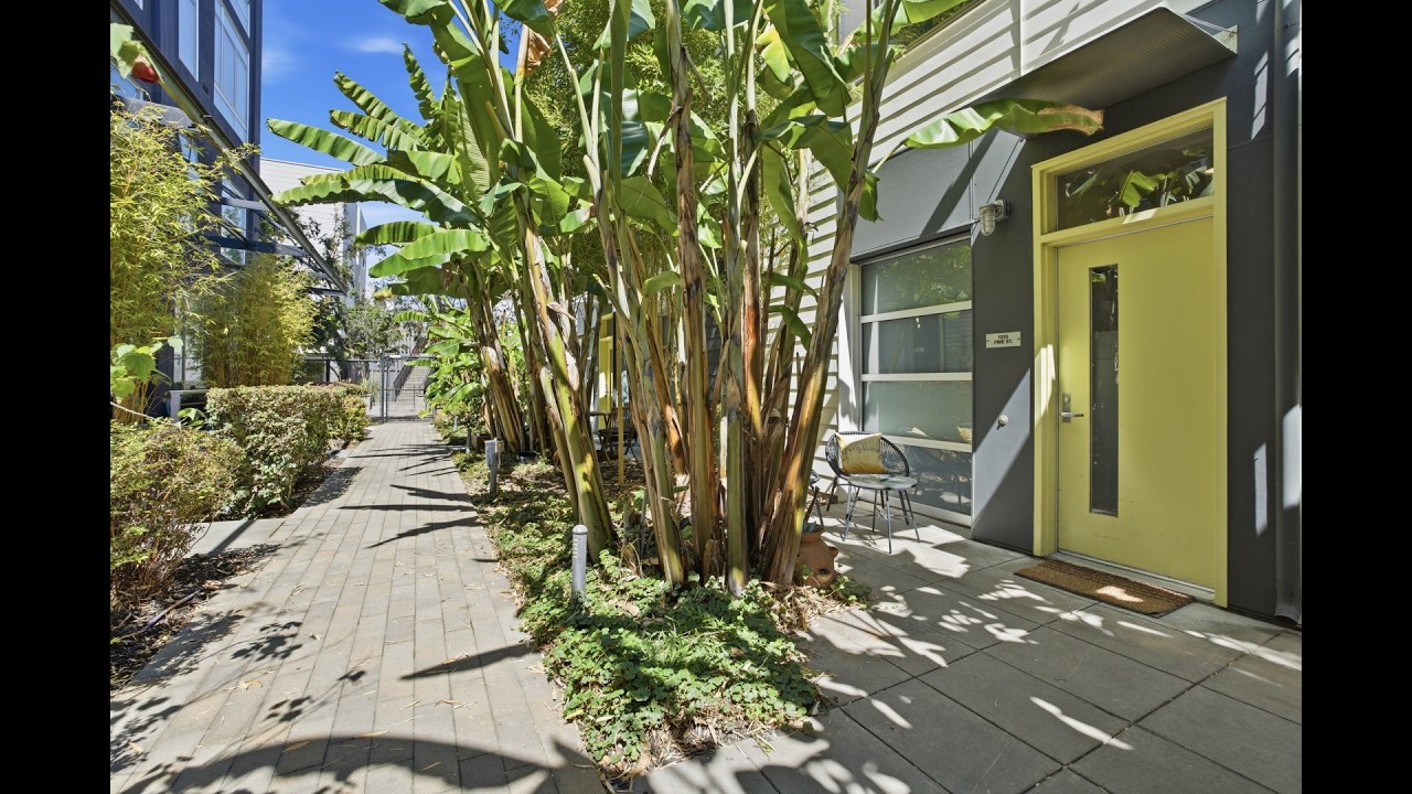 1253 pine street oakland ca cold