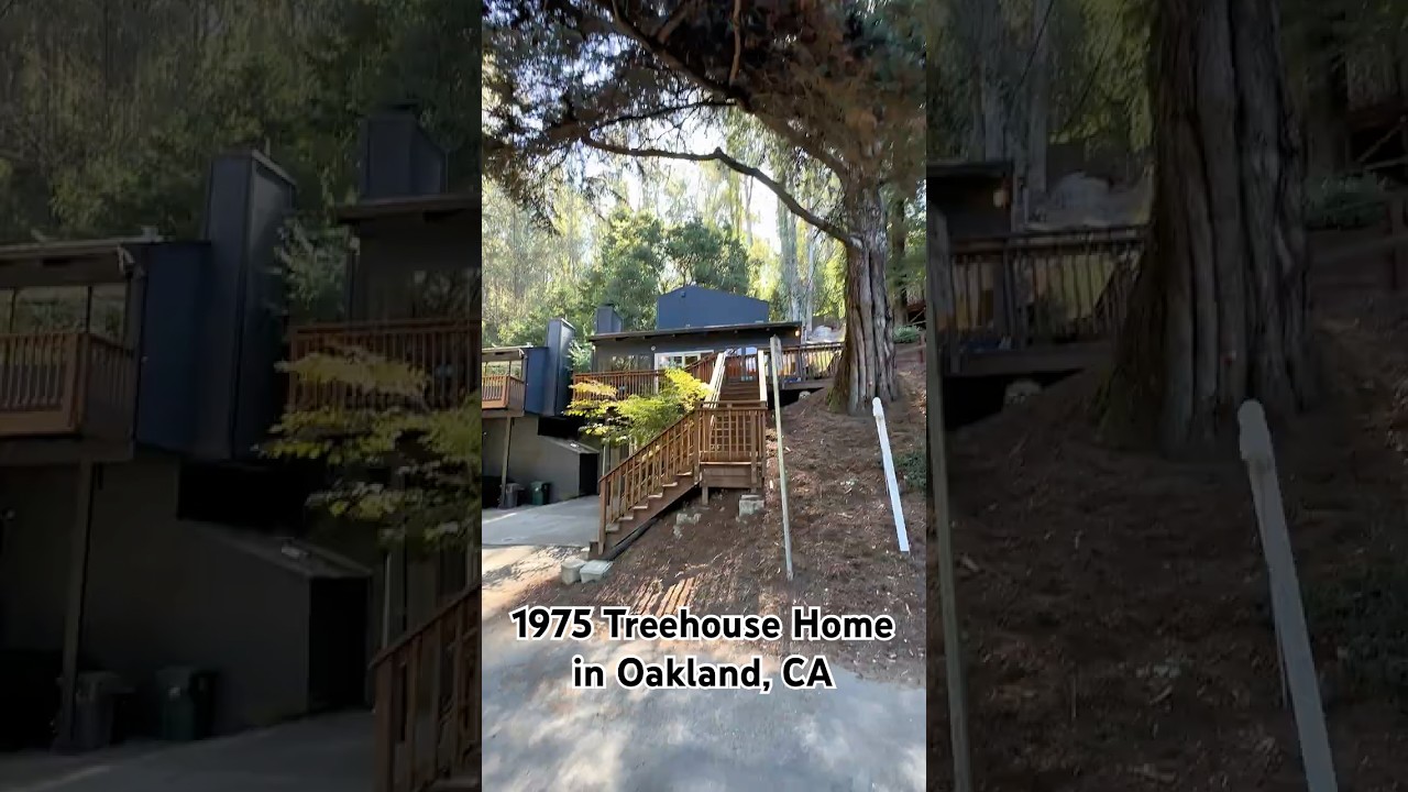 1975 Treehouse Home in Oakland, CA #housetour #hometour #bayarea #oakland #oaklandca 2 1975 treehouse home in oakland c