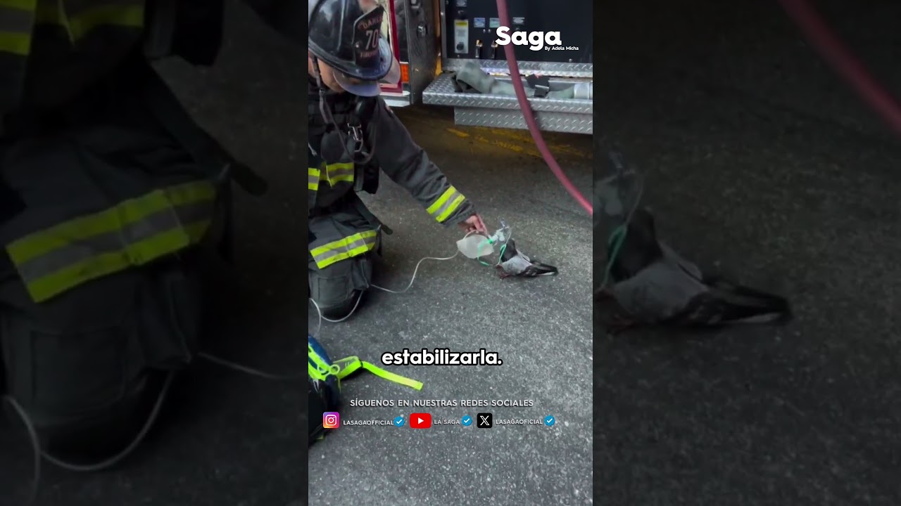 increible bomberos le ponen masc